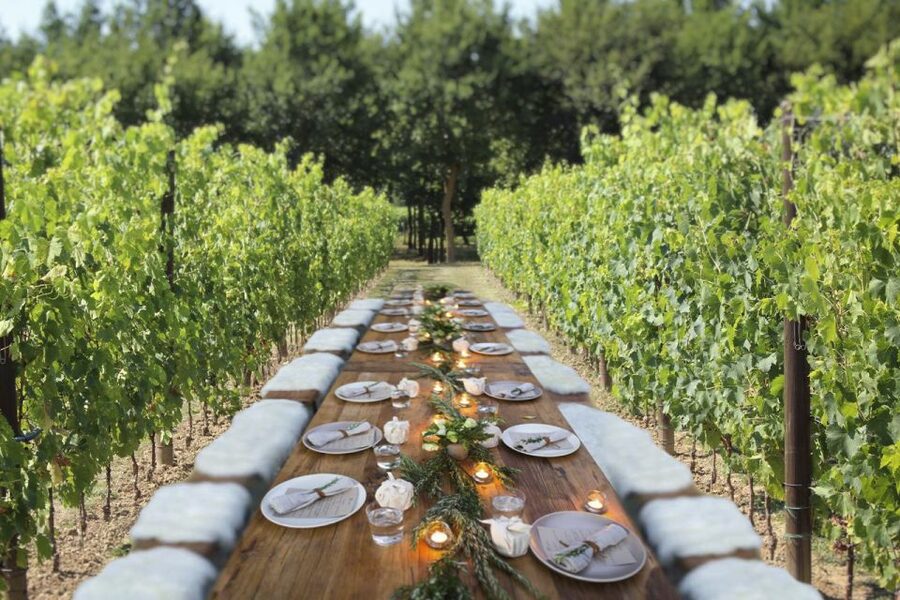 San Gimignano: Romantic Vineyard Dinner - Arriving at Tenuta Torciano near San Gimignano