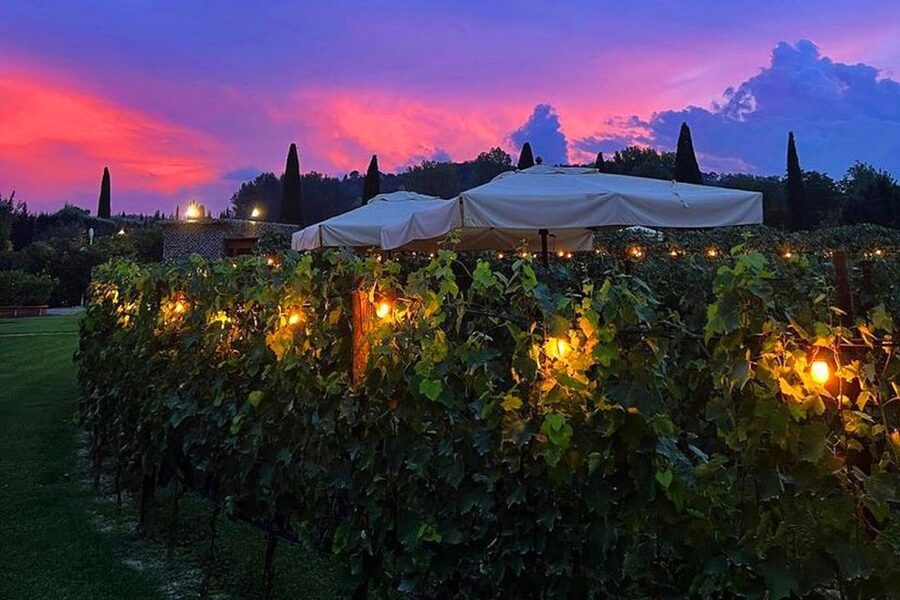 San Gimignano: Romantic Vineyard Dinner - Learning to taste wine and olive oil