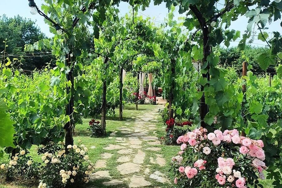 San Gimignano: Romantic Vineyard Dinner - Weather, timing, and practical limits