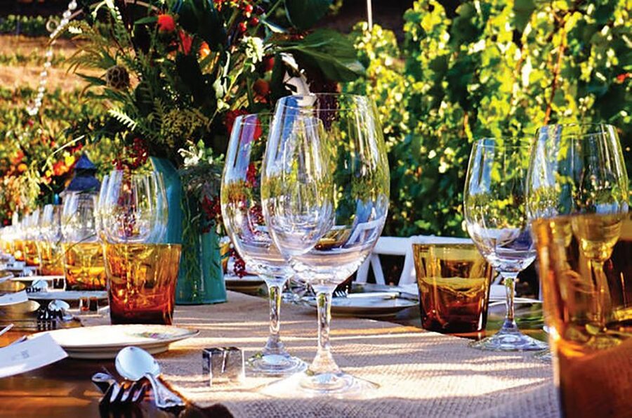 San Gimignano: Romantic Vineyard Dinner - A vineyard setting made for a slow evening