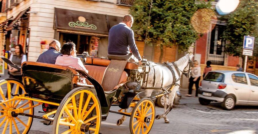 Seville: Authentic and Romantic Horse-Drawn Carriage Ride - Key points before you book