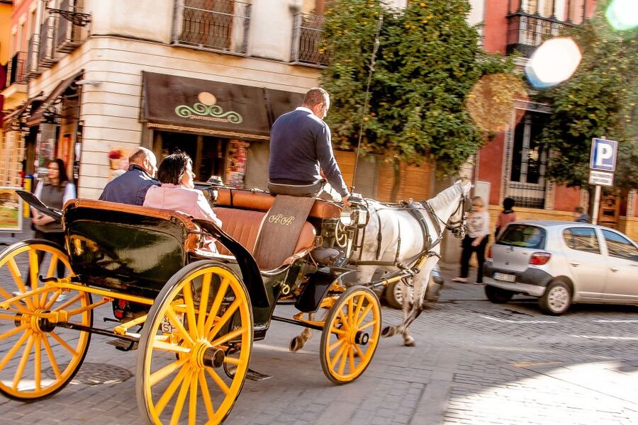 Seville: Authentic and Romantic Horse-Drawn Carriage Ride - Parque María Luisa at a slower pace