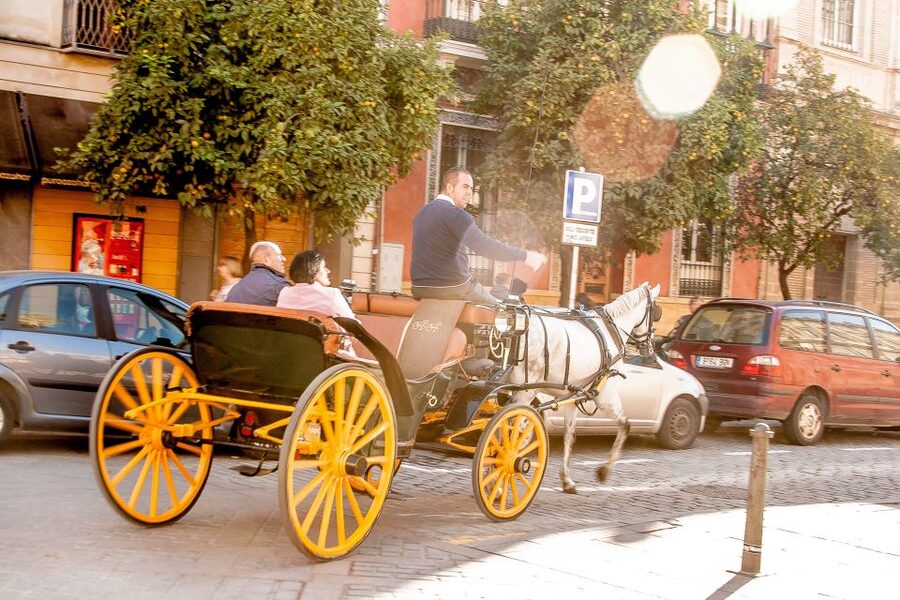 Seville: Authentic and Romantic Horse-Drawn Carriage Ride - Commentary, language, and the role of the driver