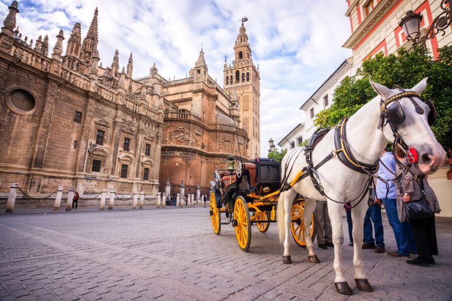 Seville: Authentic and Romantic Horse-Drawn Carriage Ride - Is $118 good value for up to four?