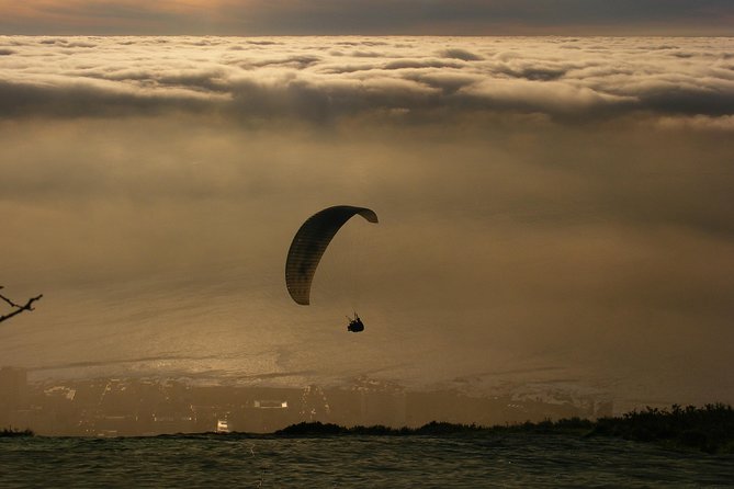 Signal Hill Romantic Sunset Tour in Cape Town - Why Willem Mulder matters