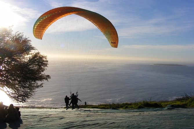 Signal Hill Romantic Sunset Tour in Cape Town - Should you book the Signal Hill Romantic Sunset Tour?