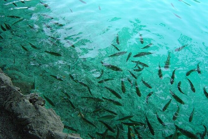 Split to Zagreb or airport Zagreb via Plitvice lakes for singles or couples - Four hours at Plitvice Lakes