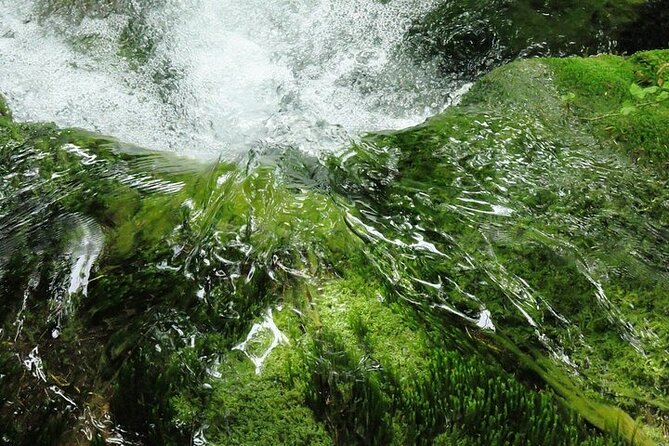 Split to Zagreb or airport Zagreb via Plitvice lakes for singles or couples - Who should book this experience?