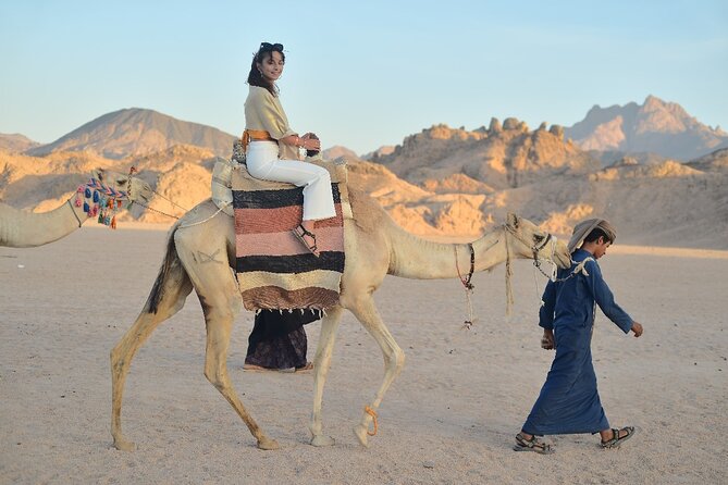 Starwatching, Camel Ride and Romantic Dinner in Hurghada Safari - What the $40 price really covers