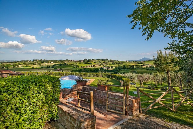 Think of a romantic meal in the Olive Trees shade, accompanied by Tuscan wines! - Why the setting matters so much