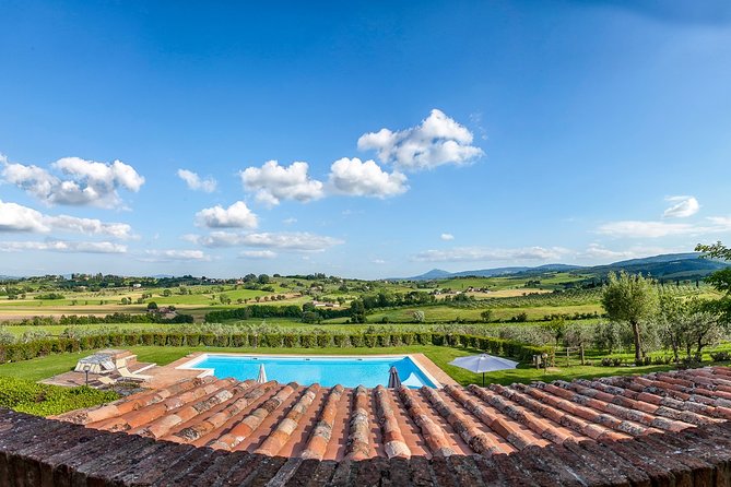Think of a romantic meal in the Olive Trees shade, accompanied by Tuscan wines! - Service and group size