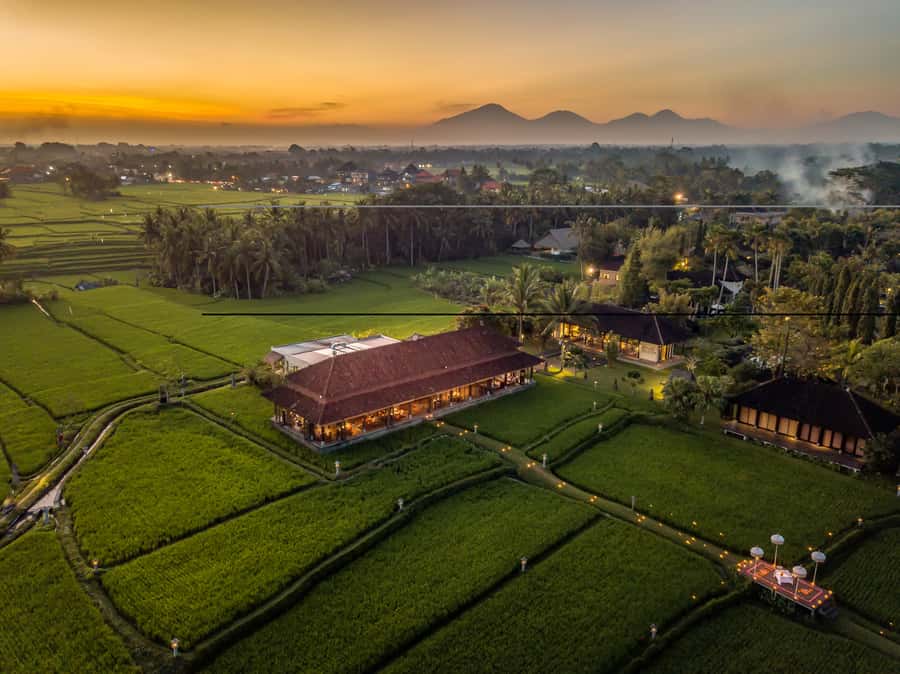 Ubud: Romantic Dinner among the Rice Fields - Key points at a glance