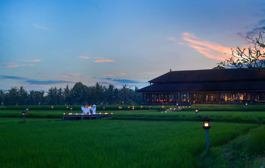 Ubud: Romantic Dinner among the Rice Fields - The candlelit walk to the rice fields