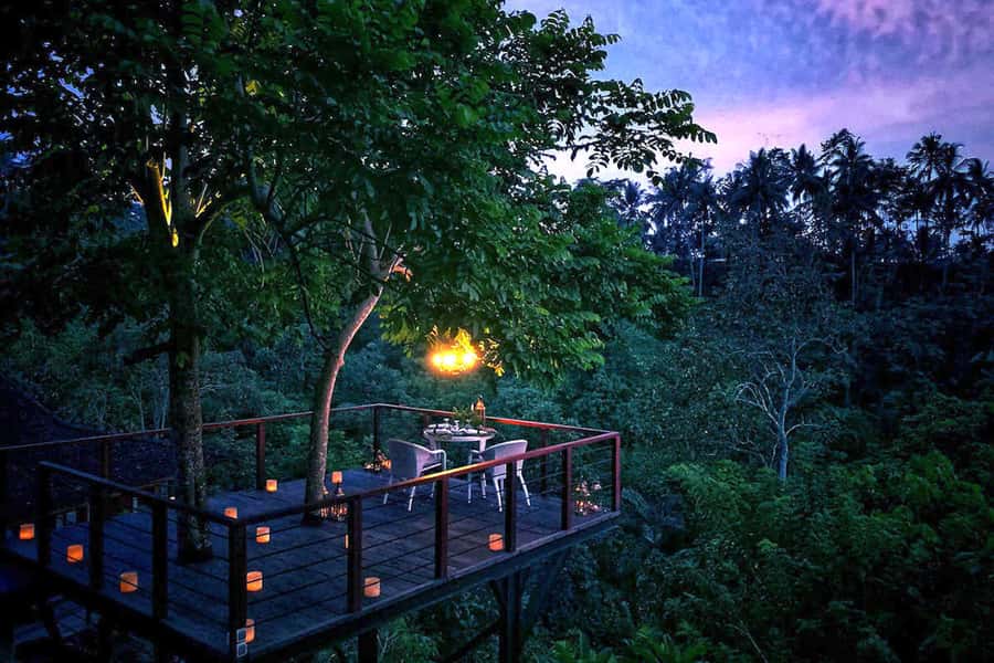 Ubud: Romantic Dinner on a Forest Tree Deck - The private tree deck and forest setting