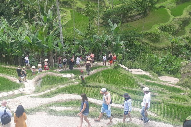 Ubud Romantic Floating Lunch Jungle Swing and Waterfall - Coffee, spices, and the luwak at Lumbung Sari