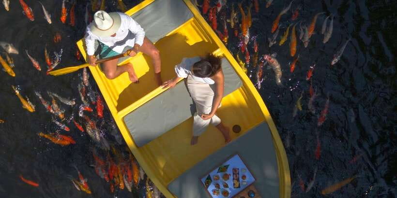 Ubud: The Original Koi Fish Yellow Boat Photo Moment - Who will enjoy this most