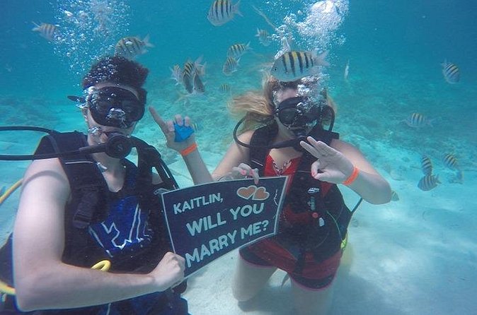 Underwater Marriage Proposal - Cruising the palm-lined coast