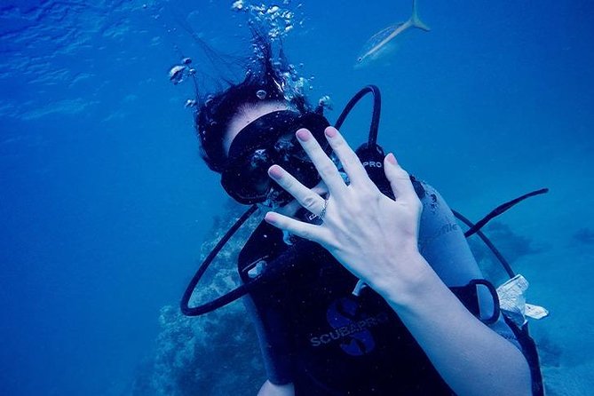 Underwater Marriage Proposal - Arriving at SeaPro Divers in the afternoon