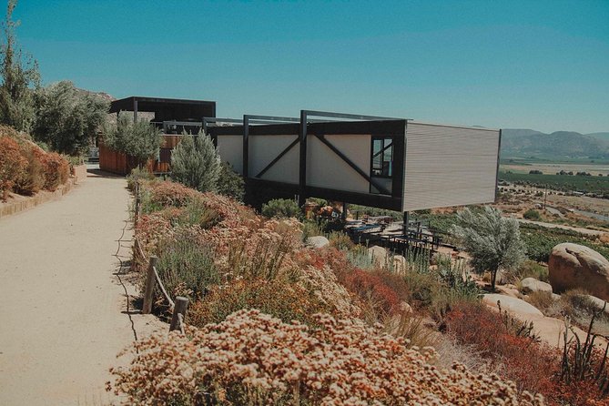 Valle de Guadalupe Couples Wine Tour - Vinos Pijoan offers a quieter final tasting