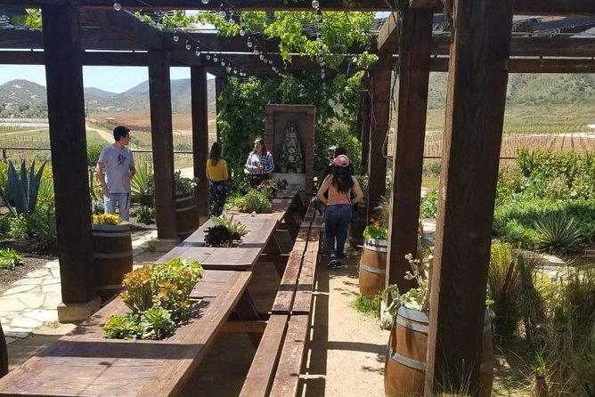 Valle de Guadalupe Couples Wine Tour - The guide can shape the day
