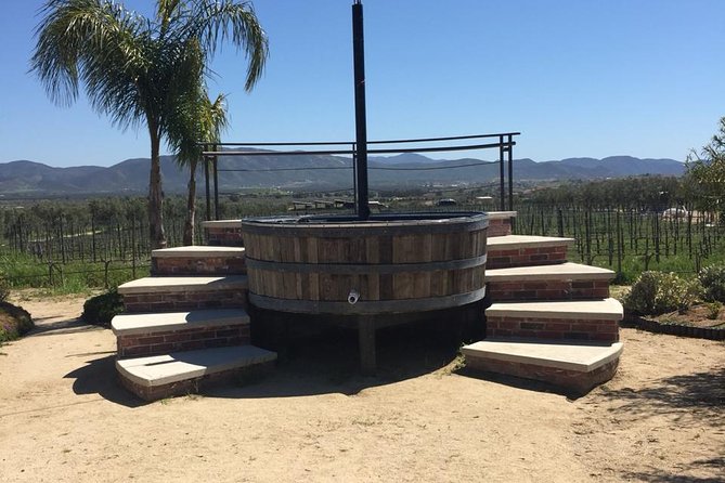 Valle de Guadalupe Couples Wine Tour - Who will enjoy this tour most