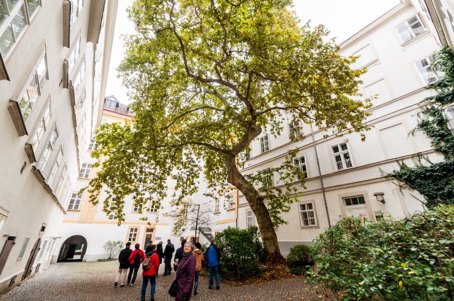 Vienna: Romantic Old Town 2-Hour Discovery Tour - What the two-hour format does well