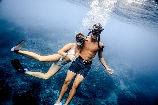 Waikiki Couples Snorkel Retreat - Watching for turtles, dolphins, and seasonal whales
