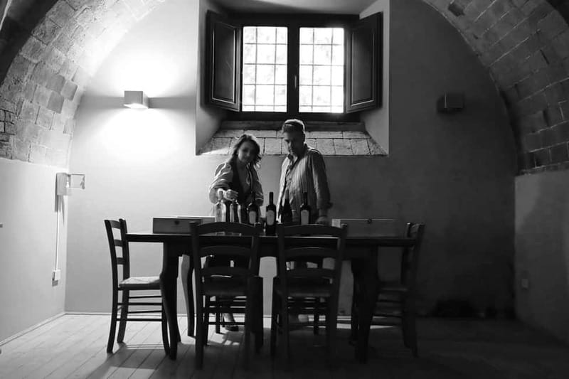 Wine tasting in a romantic castle with archaeologist guide - The road from Bibbona sets the mood