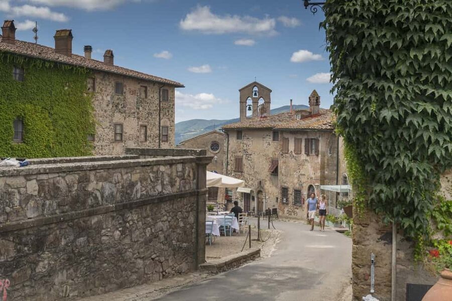Wine tasting in a romantic castle with archaeologist guide - Five wines and olive oil in an old oil mill