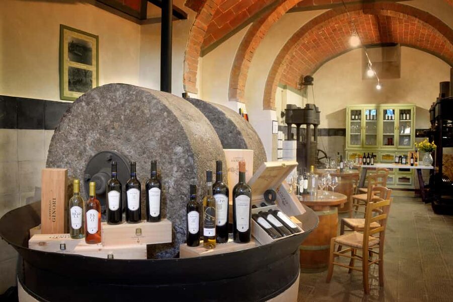 Wine tasting in a romantic castle with archaeologist guide - The views, photographs, and free time