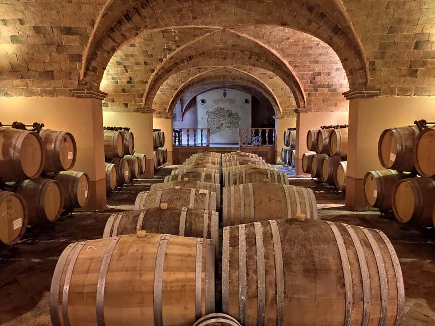 Wine tasting in a romantic castle with archaeologist guide - A medieval village with a personal guide