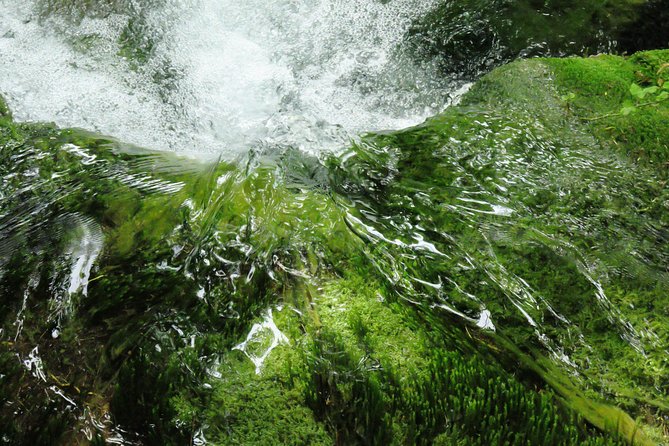 Zagreb airport or Zagreb to Split via Plitvice lakes for singles or couples - What makes Plitvice worth the stop
