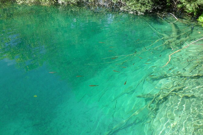Zagreb airport or Zagreb to Split via Plitvice lakes for singles or couples - Is the $346.07 price good value?